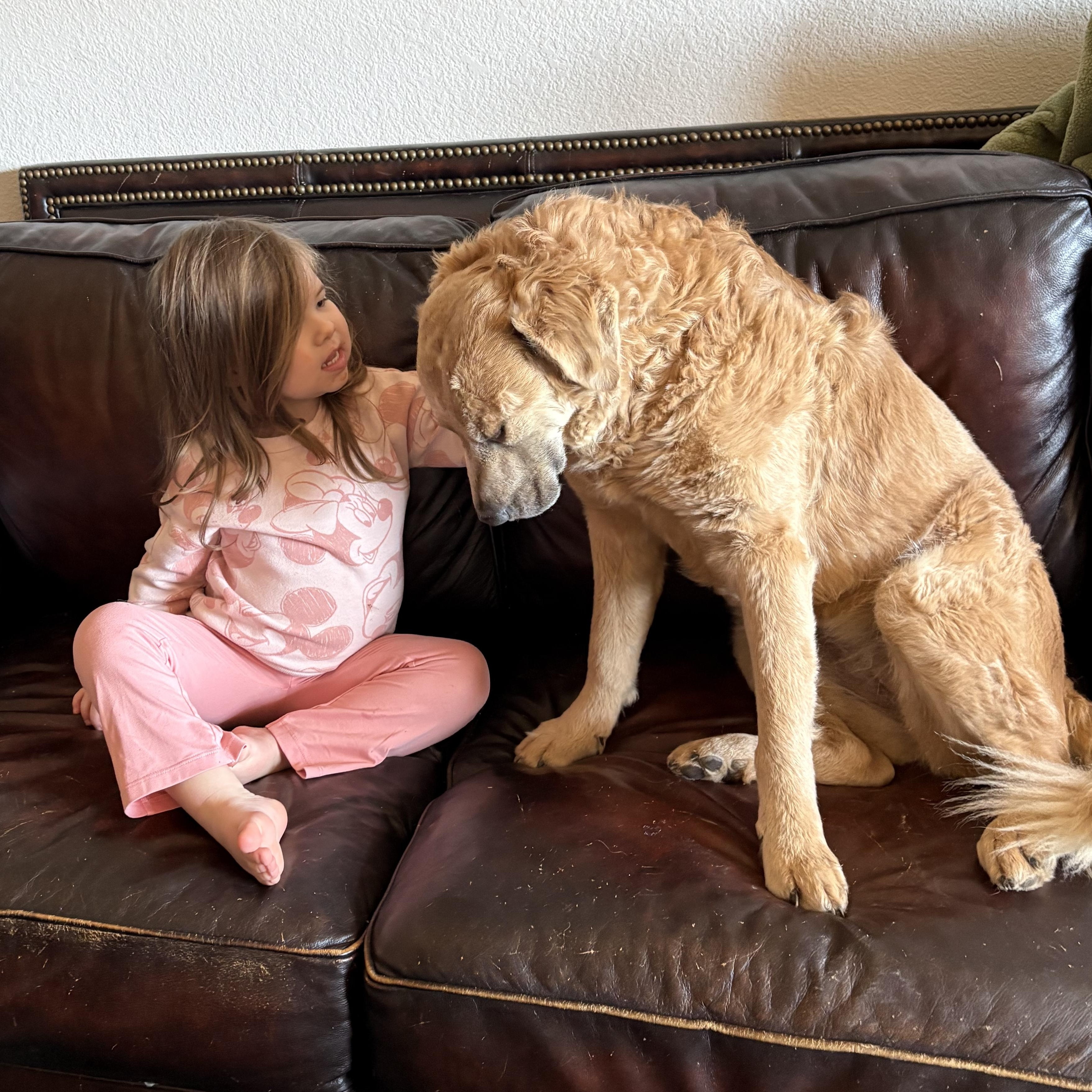 Cinnamon — thumbnail 2