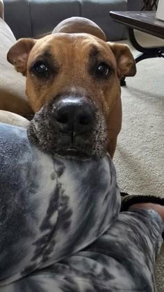 Bella Marie — thumbnail 2