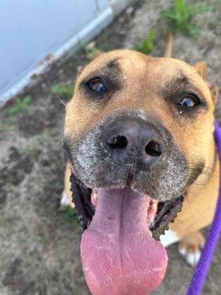 Bella Marie — thumbnail 3