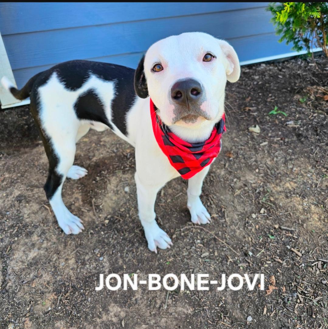 Jon Bone Jovi