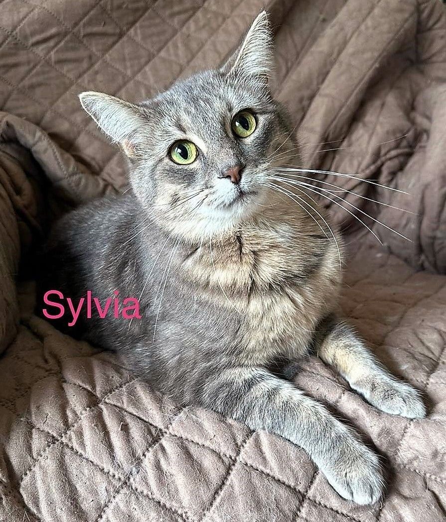 SYLVIA