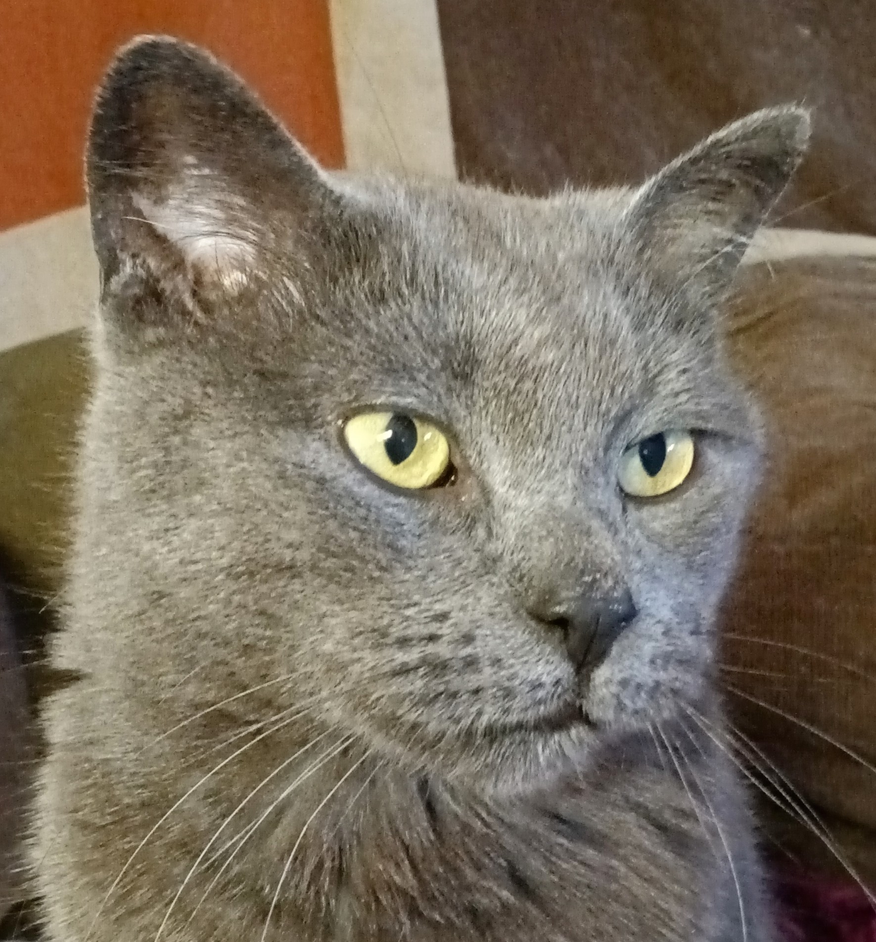 Clarence