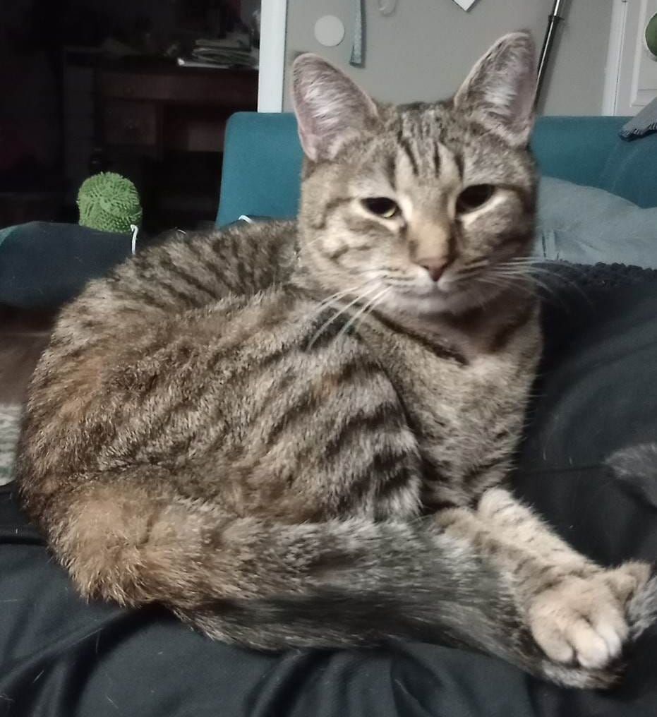 Baby Ruth thumbnail 3