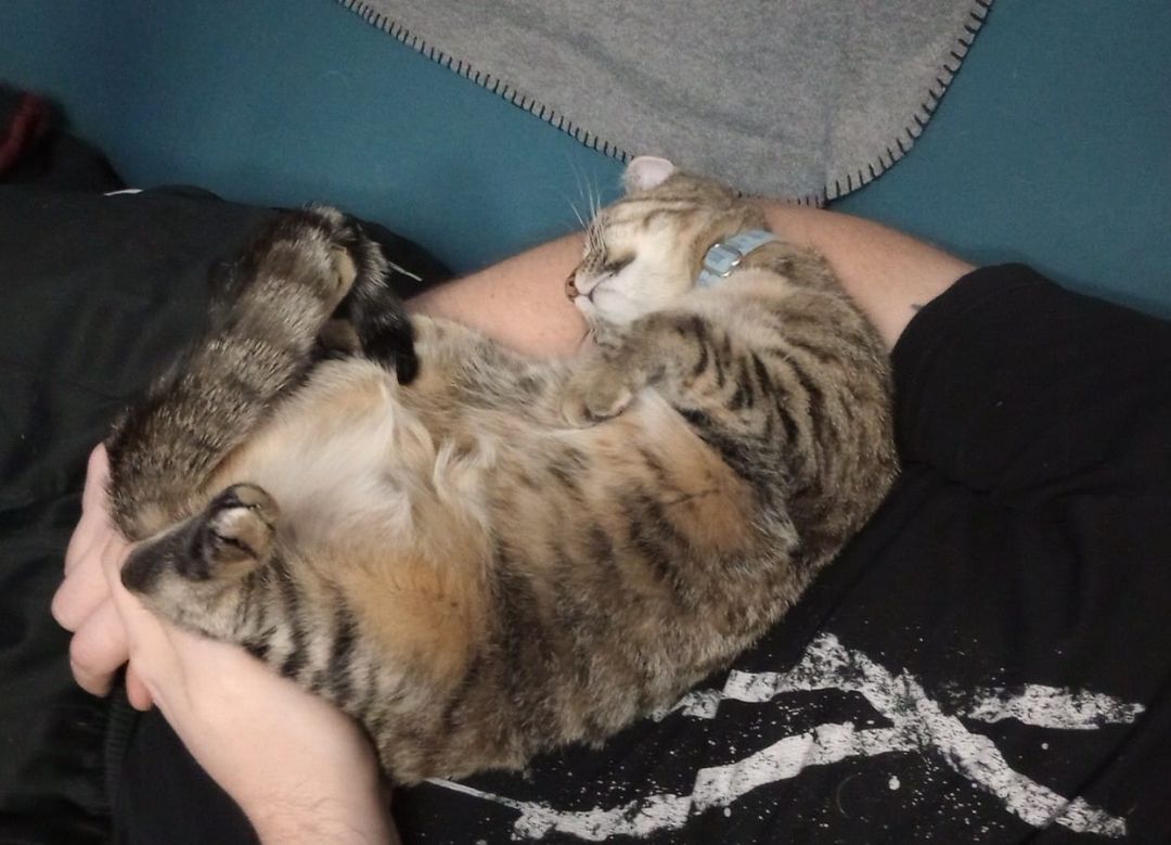 Baby Ruth thumbnail 4