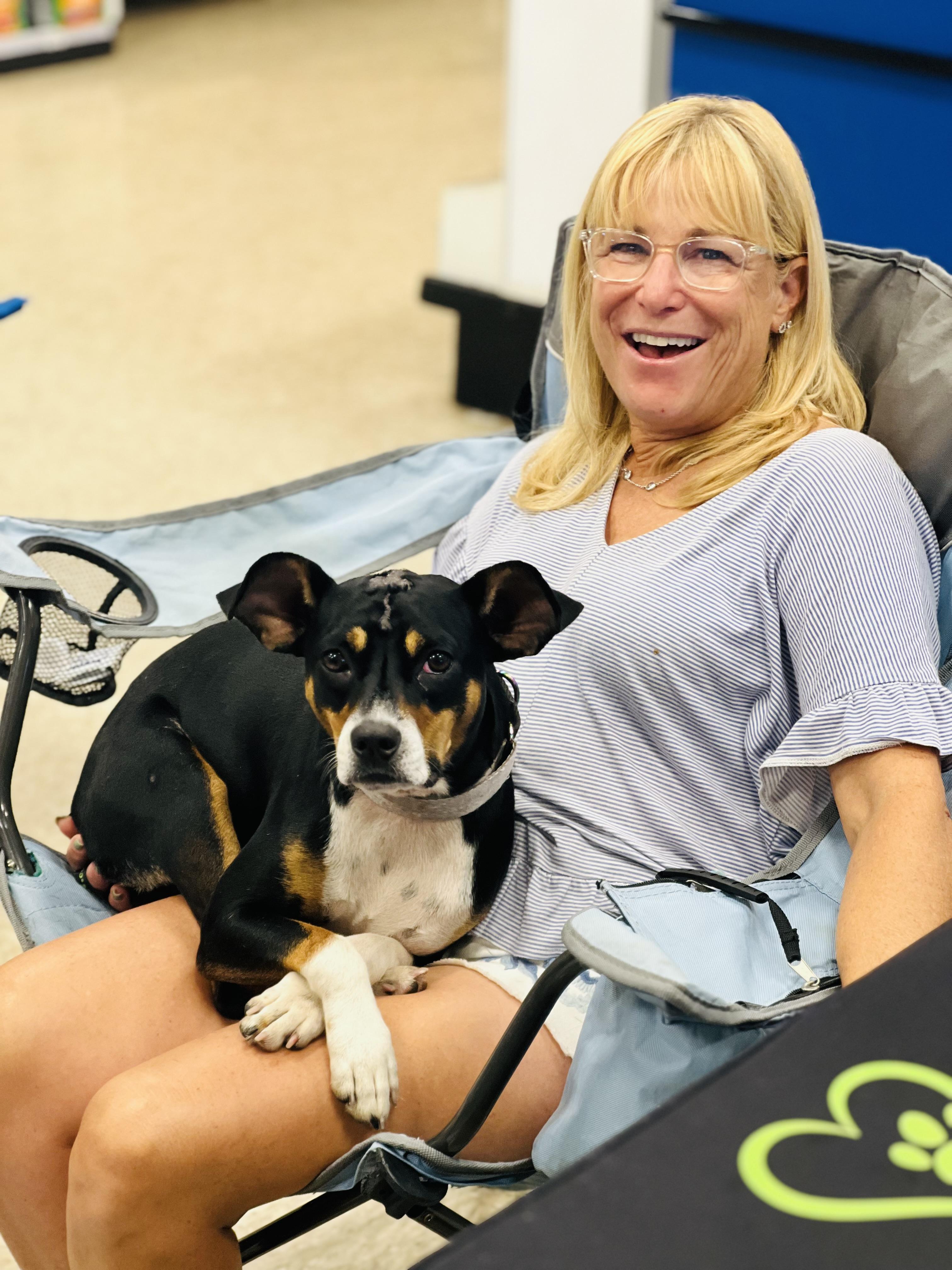 Enlarge Peaches, a Adoptable mixed breed in Palm Coast, FL image 3/6