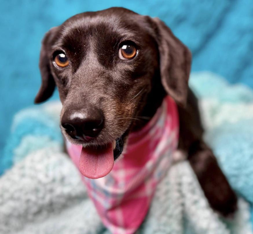 Monet - Once left behind, now looking for love!