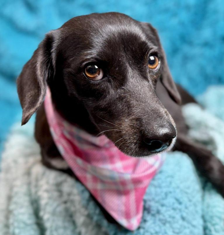 Monet - Once left behind, now looking for love!