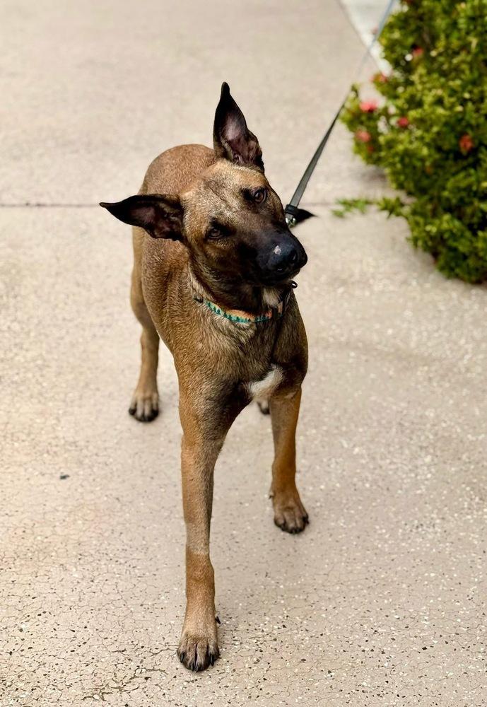 Brennan  Located In thumbnail 3