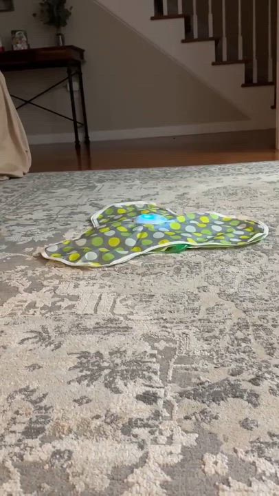 Enlarge Lenorah, an adoptable Tabby in Talbott, TN video 4/5