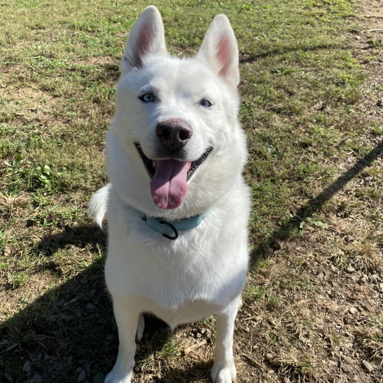 Archer