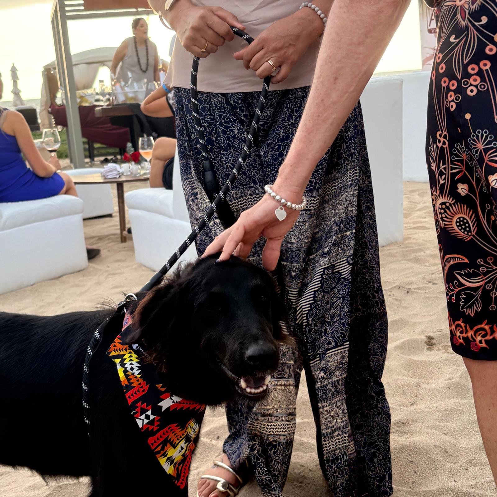 Seali — thumbnail 3