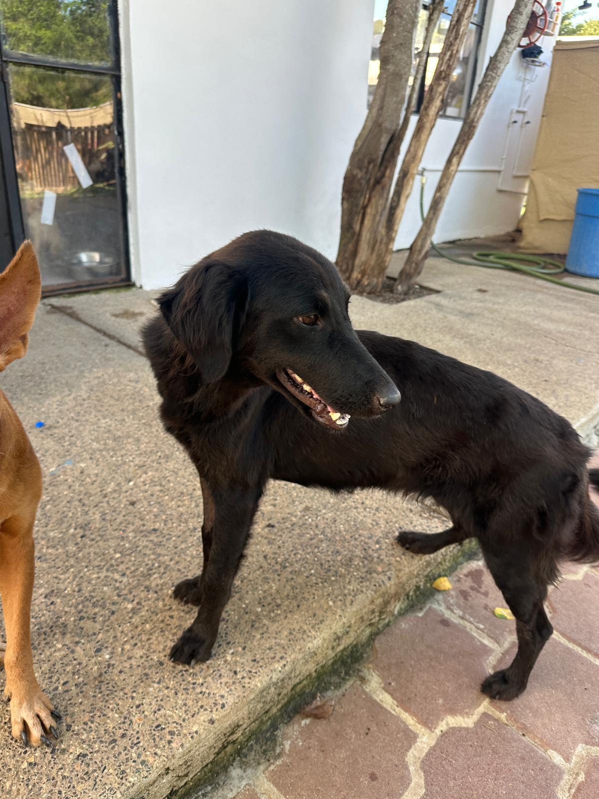 Seali — thumbnail 5