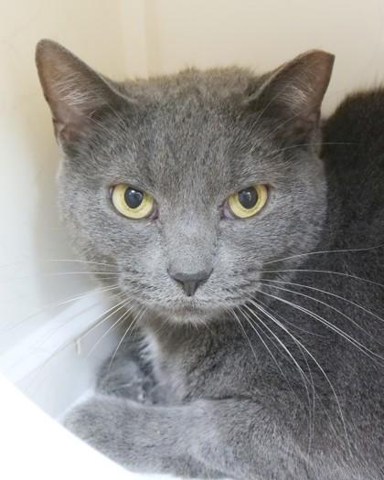 Sprinkles (in foster)