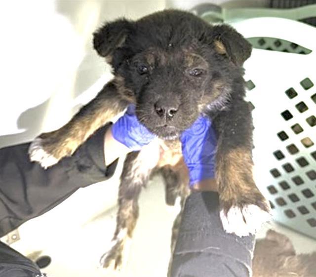 WINRY — thumbnail 2