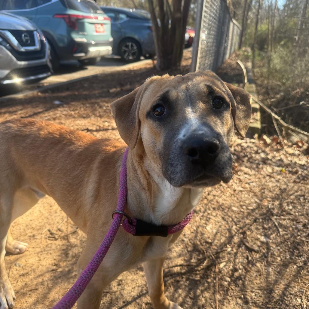 New York 2201 — thumbnail 2