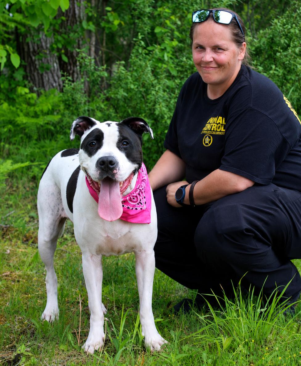 Lilly Lu, an adopted mixed breed in Cheboygan, MI image 5/6