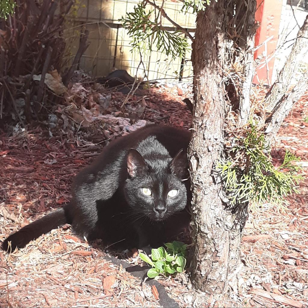 Brookestone — thumbnail 2