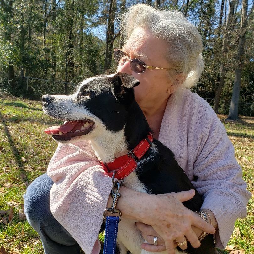 Davina *Waived Fee, a Adoptable Mixed Breed in Vicksburg, MS image 1/6