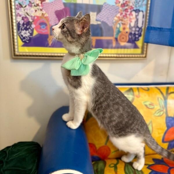 Karli Grace — thumbnail 5