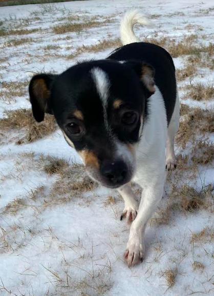 Rascal Flatts thumbnail 2