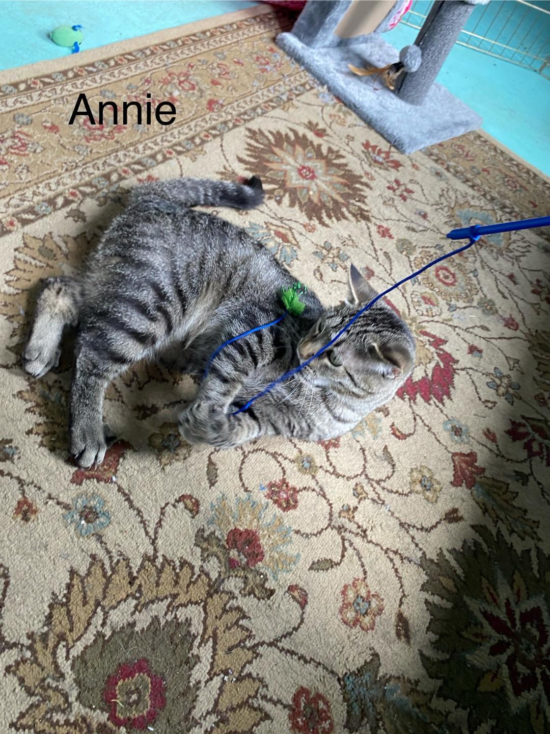 Annie and Winnie, Young Female unknown