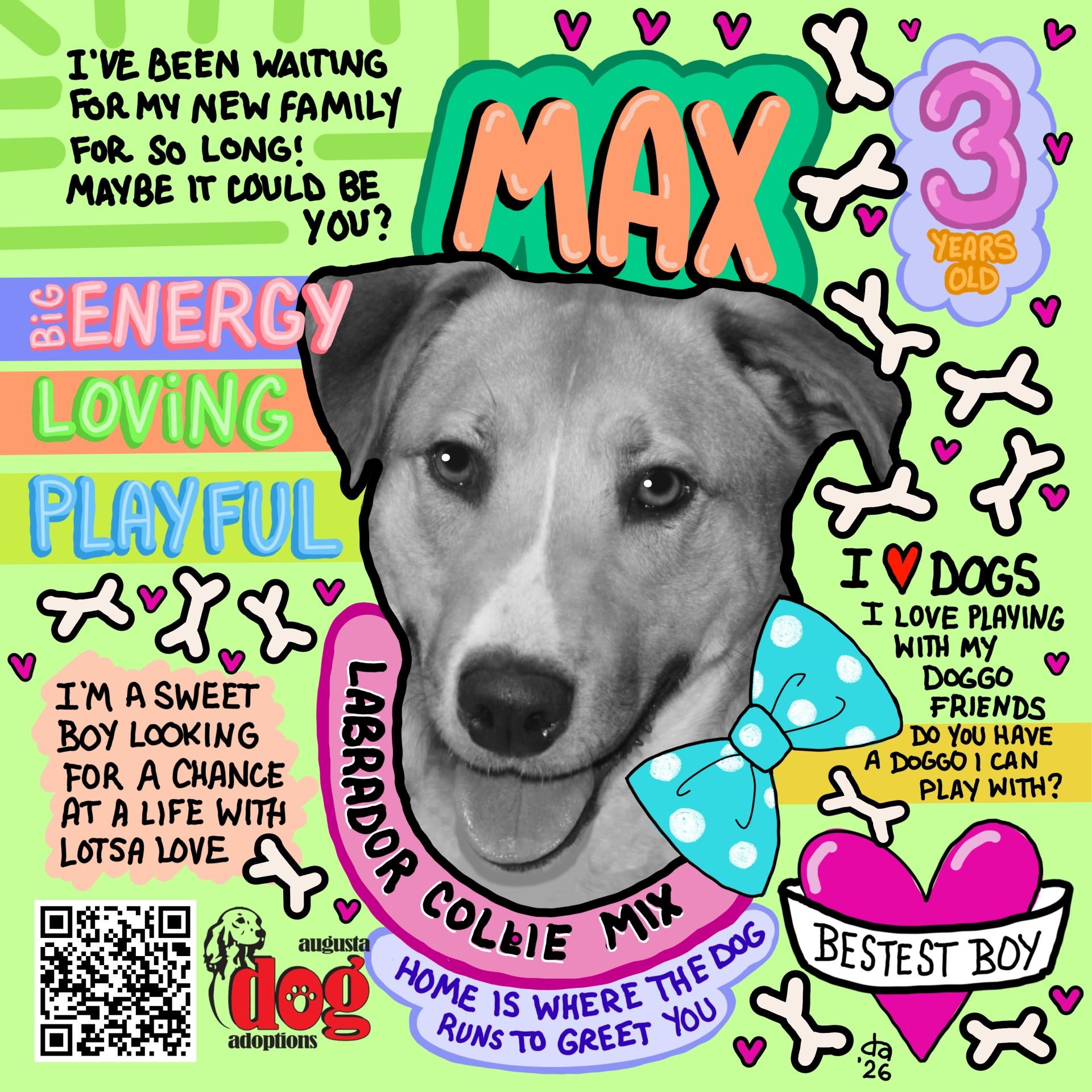 Enlarge Max, a ADOPTABLE mixed breed in Stuarts Draft, VA image 6/6