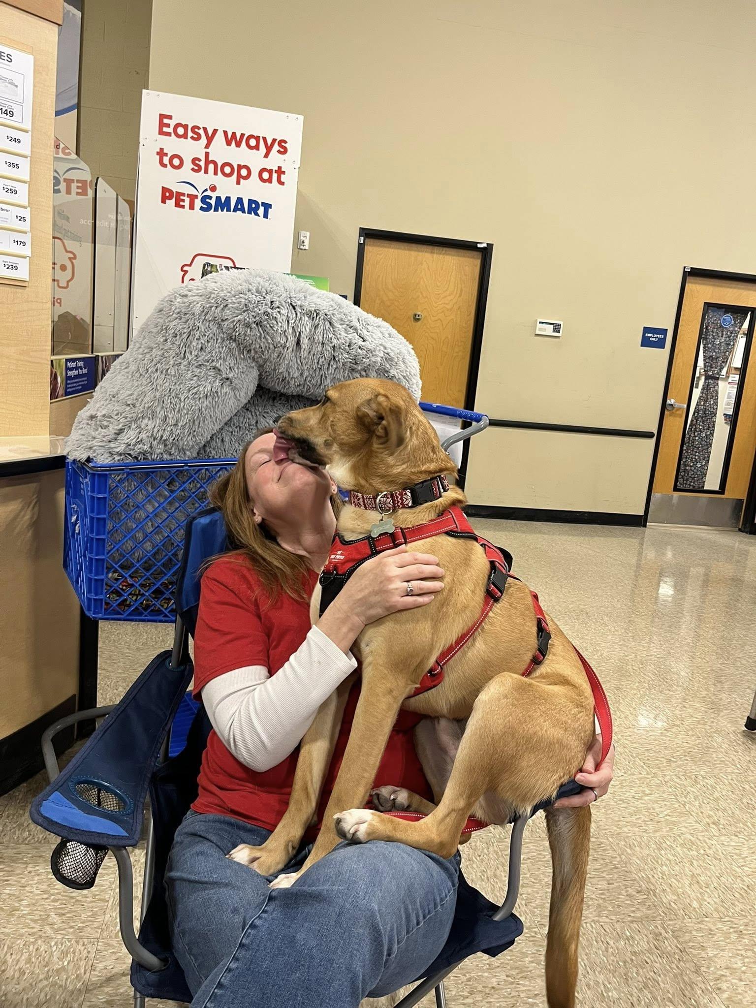 Enlarge Max, a ADOPTABLE mixed breed in Stuarts Draft, VA image 4/6
