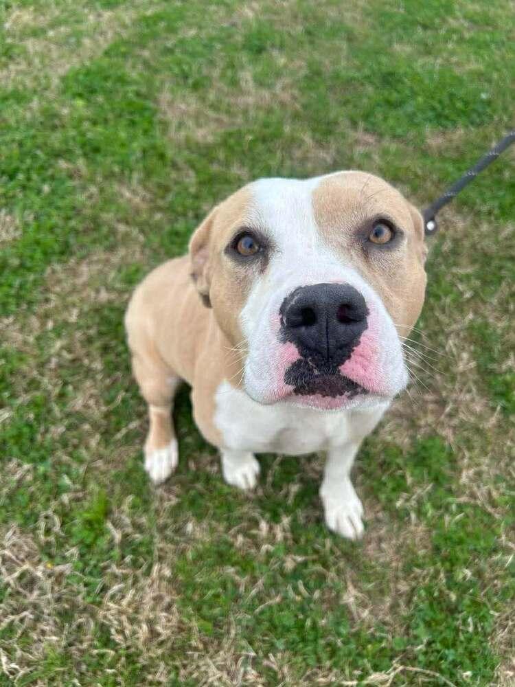 Tess — thumbnail 2