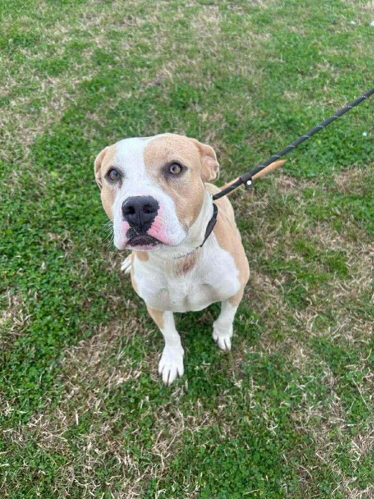 Tess — thumbnail 3