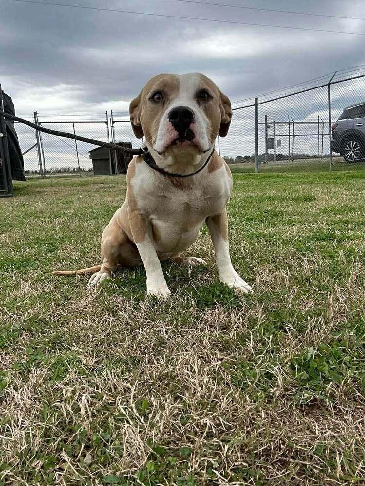 Tess — thumbnail 4