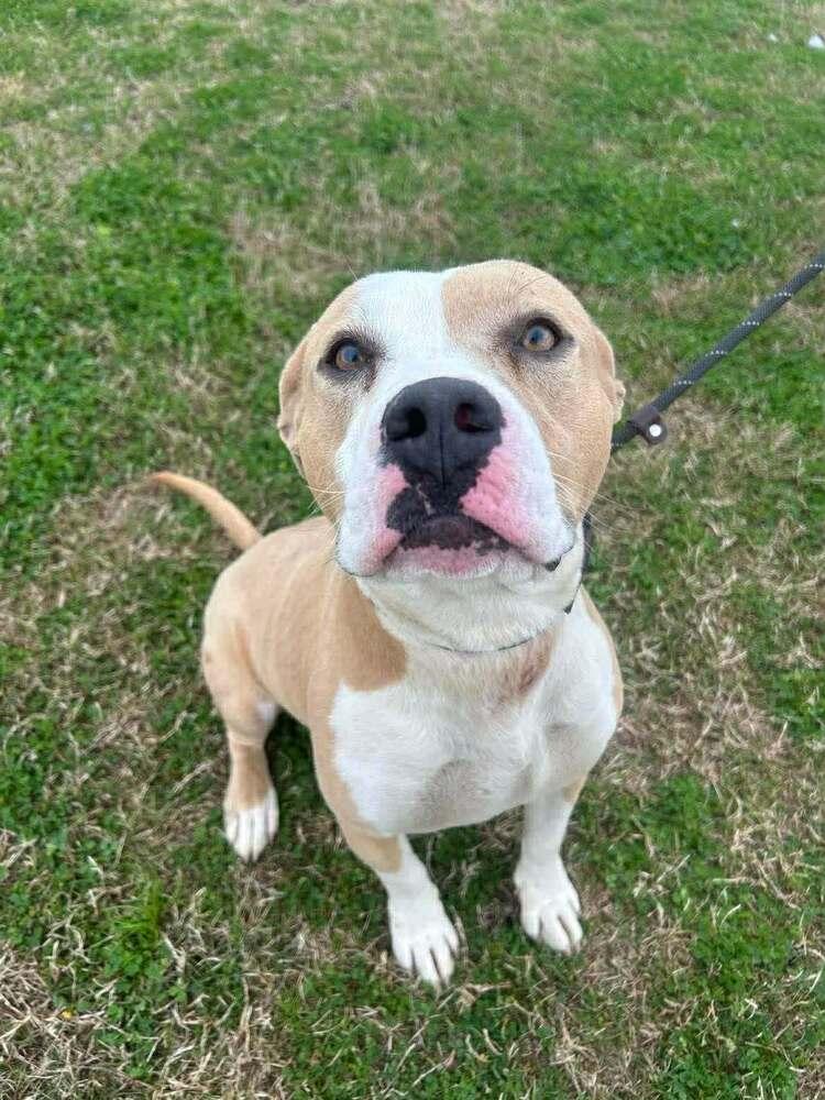 Tess — thumbnail 5