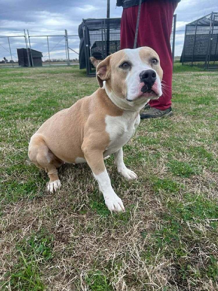 Tess — thumbnail 6