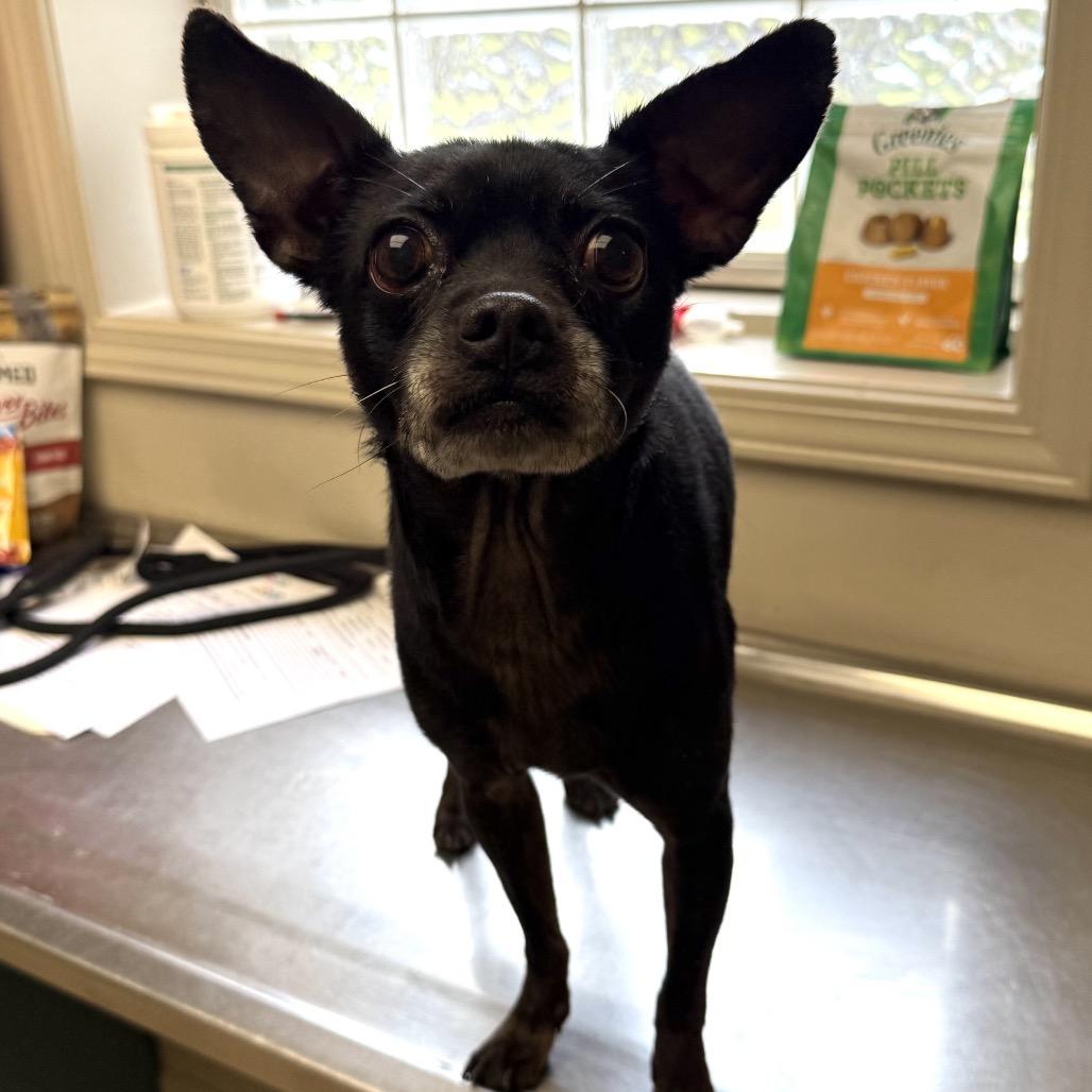 Jorge — thumbnail 2