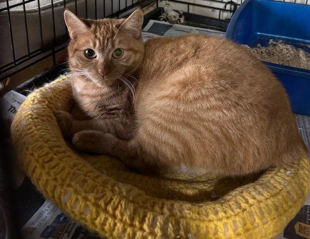 Dynamite — thumbnail 3