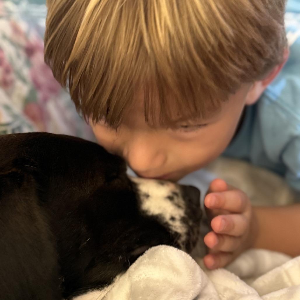 Bartley — thumbnail 6