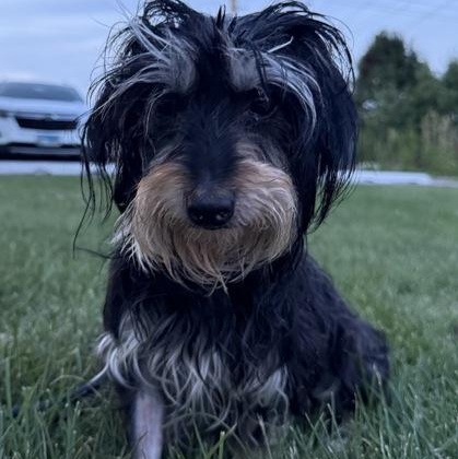 Lucinda (In Foster Home)