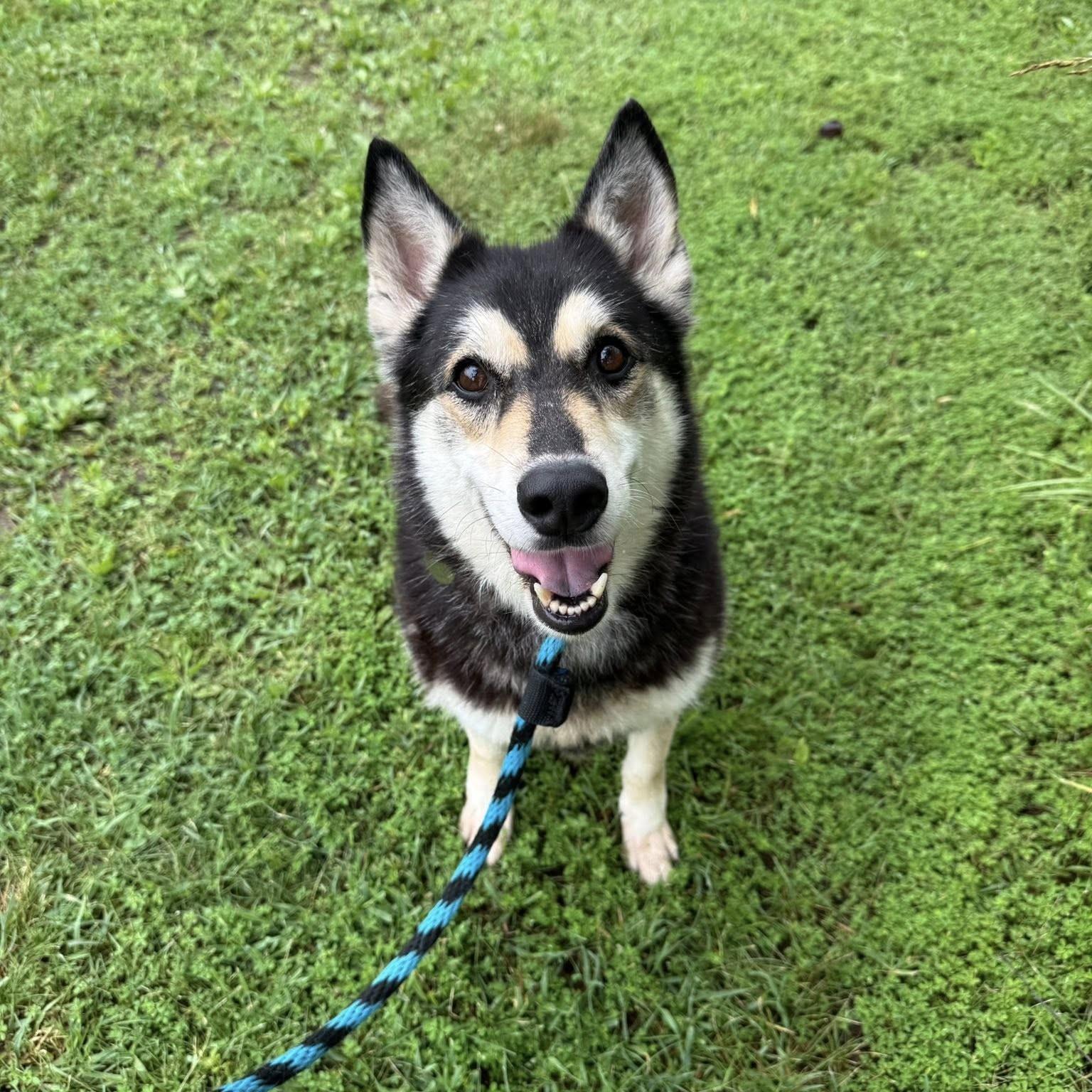 Bella