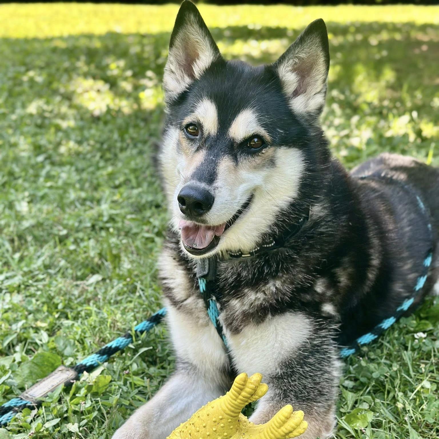 Bella