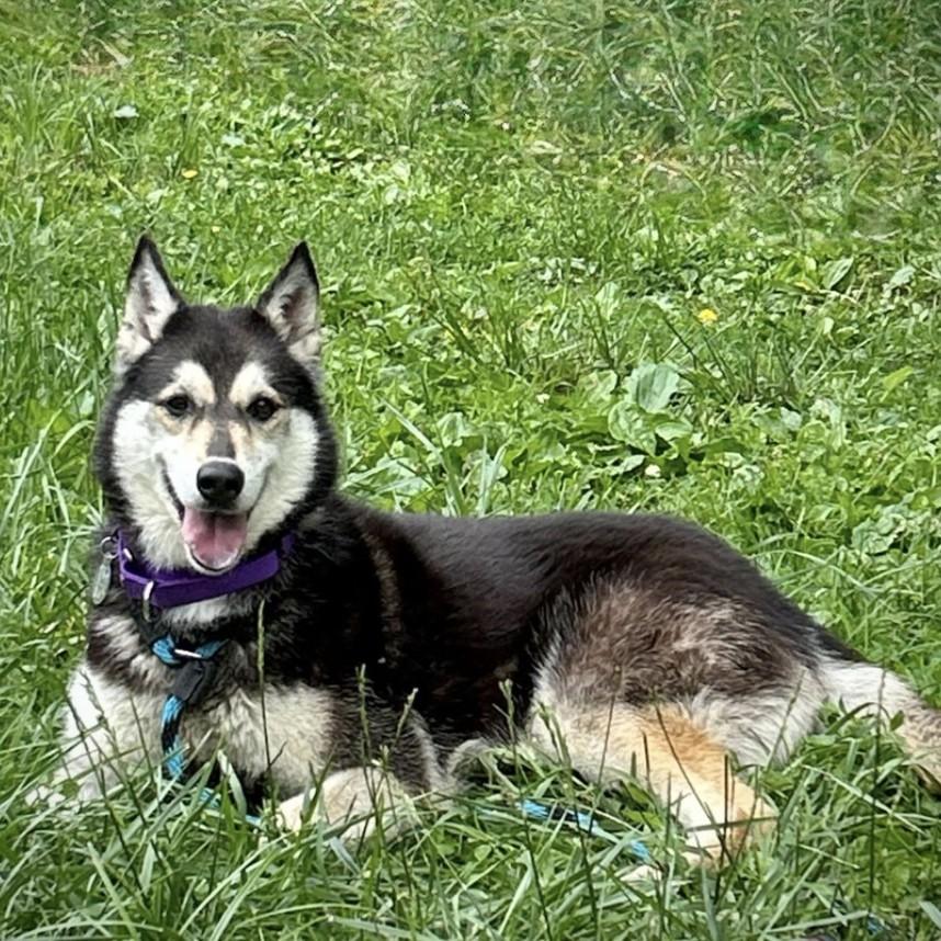 Bella