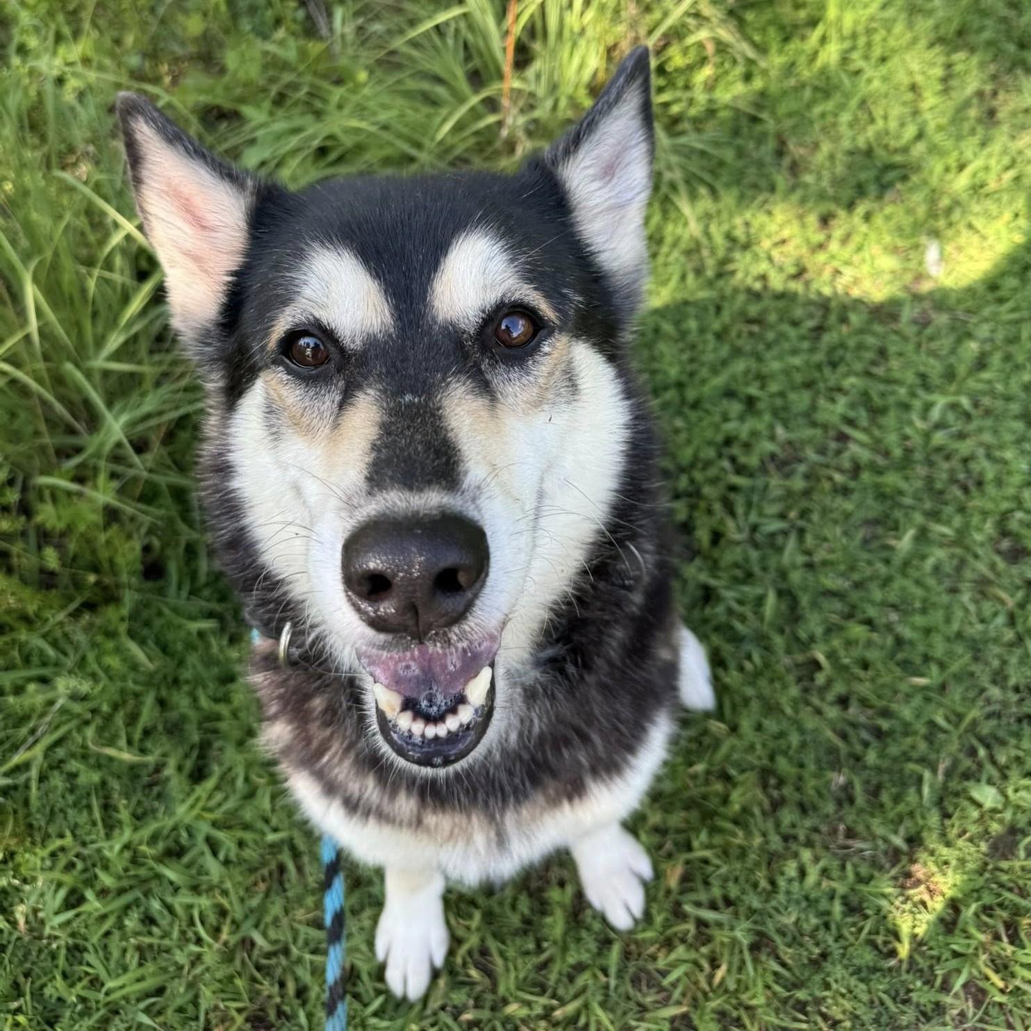 Bella