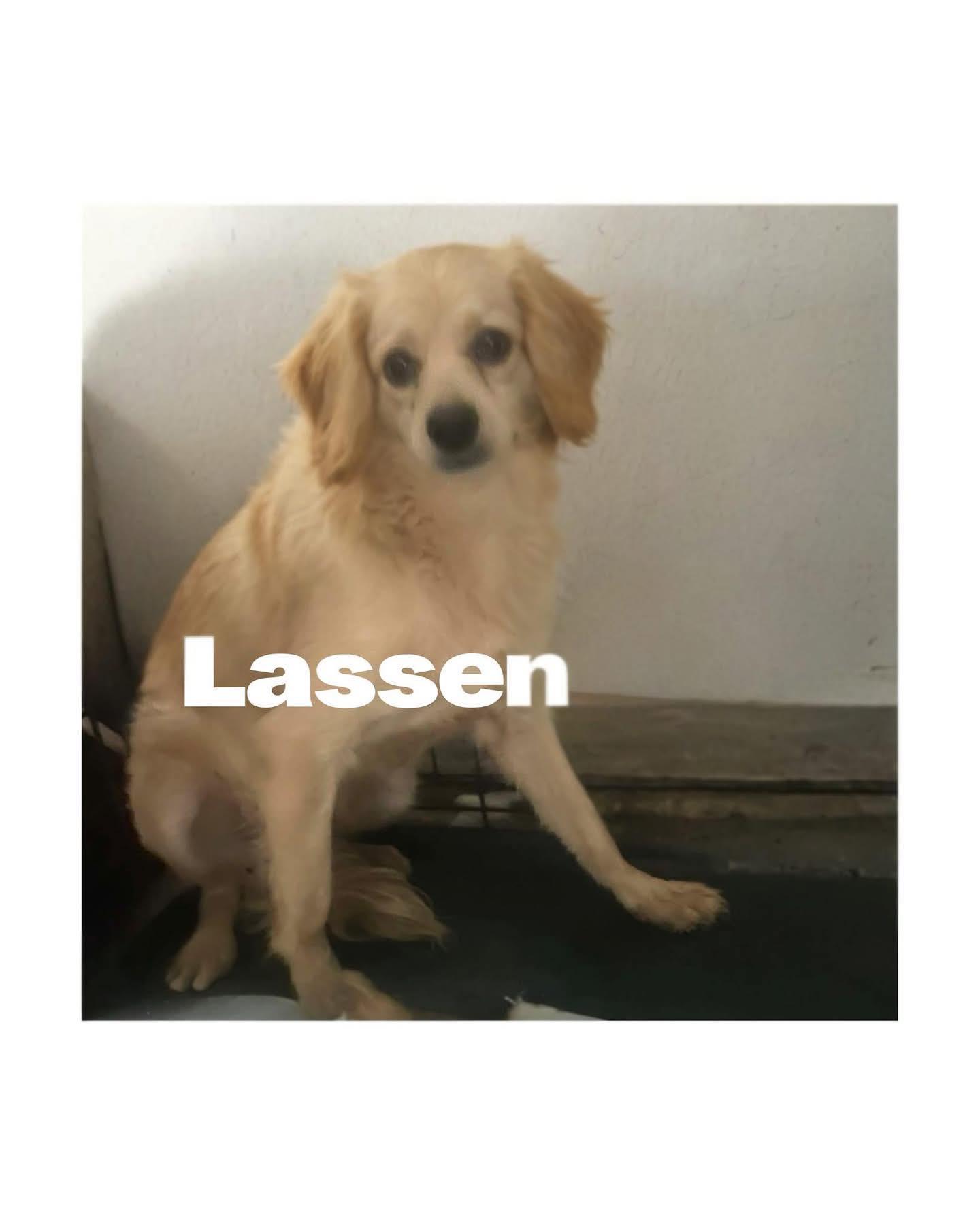 Lassen