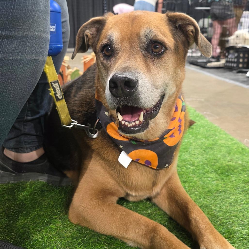 Twix JuM/AG — thumbnail 2