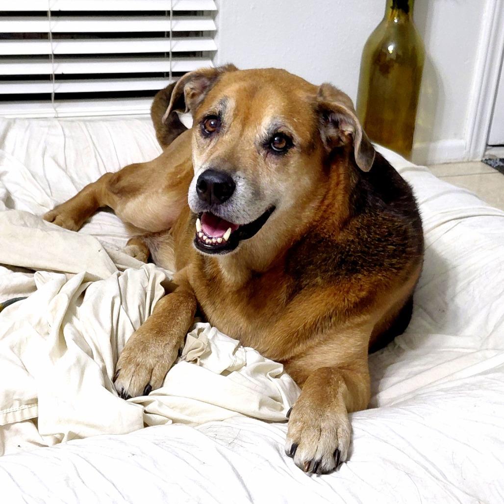 Twix JuM/AG — thumbnail 3