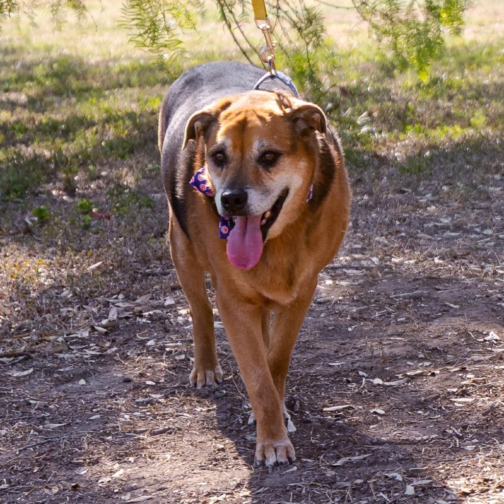 Twix JuM/AG — thumbnail 4