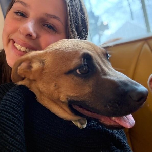 Sugar cuddly baby — thumbnail 5