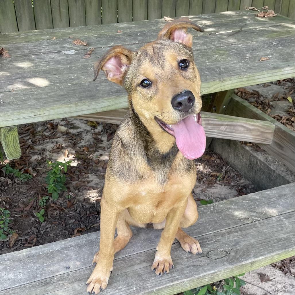 Lucky Charm thumbnail 6