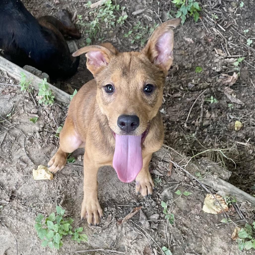 Lucky Charm thumbnail 7