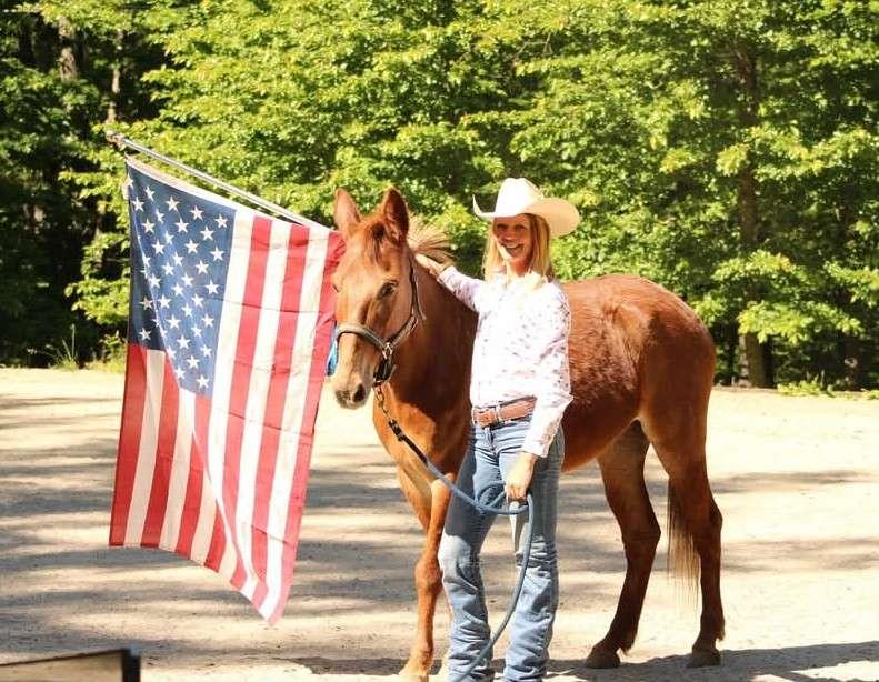 Enlarge Twixt - 365 Division, a Adoptable Mule in Huntington, WV image 4/6