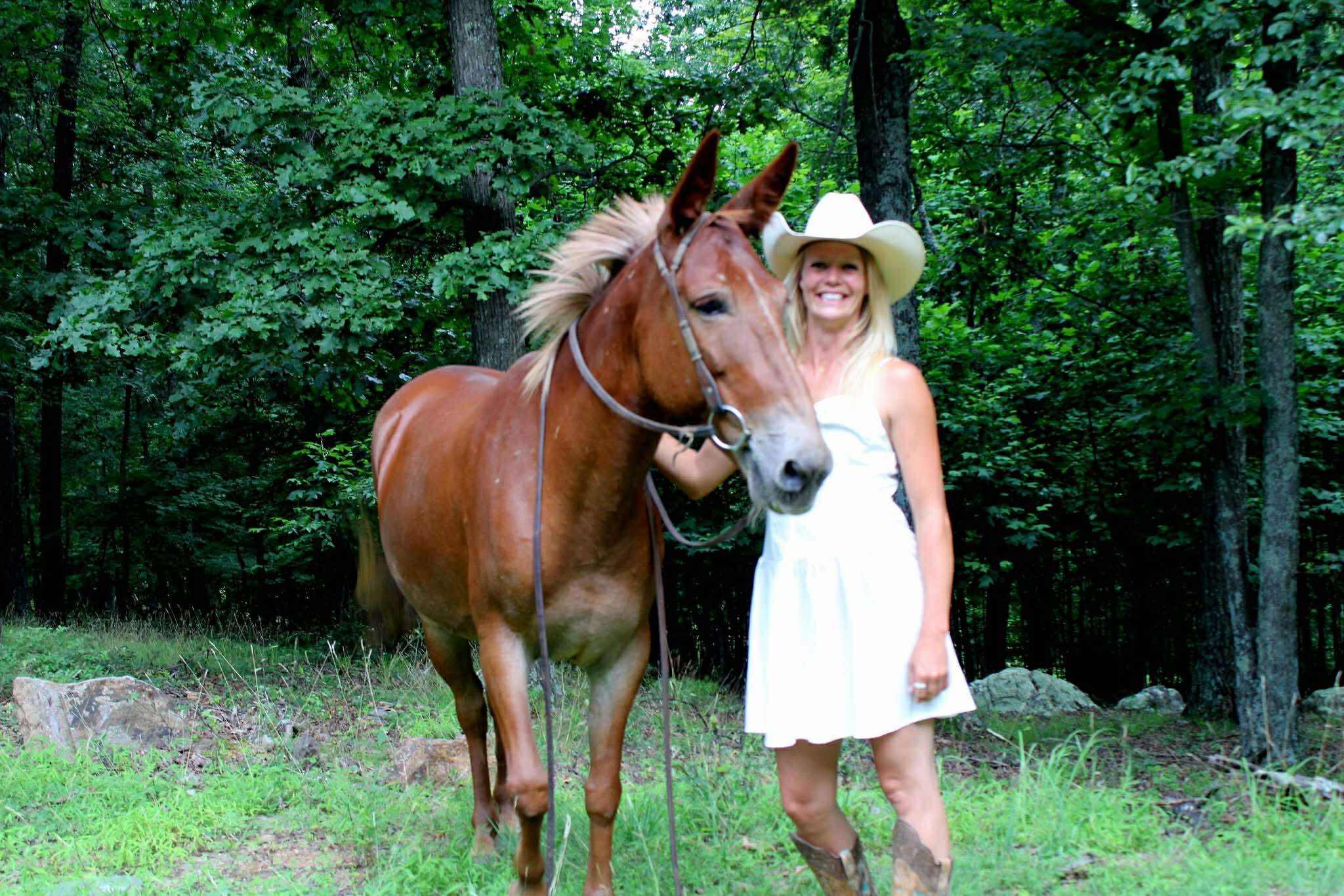 Enlarge Twixt - 365 Division, a Adoptable Mule in Huntington, WV image 2/6