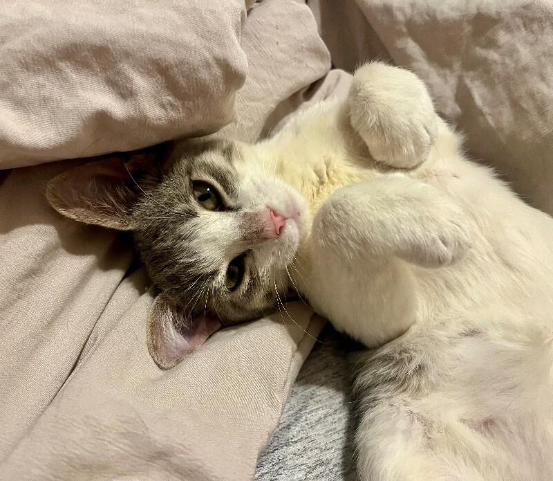 Meeny Baby — thumbnail 2